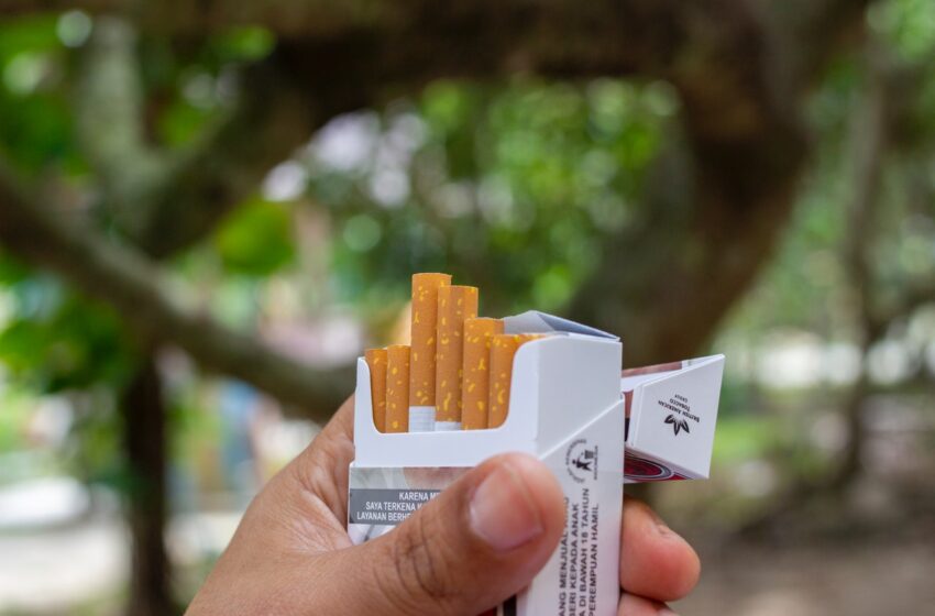  El tabaco daña a las personas y al medio ambiente: OMS