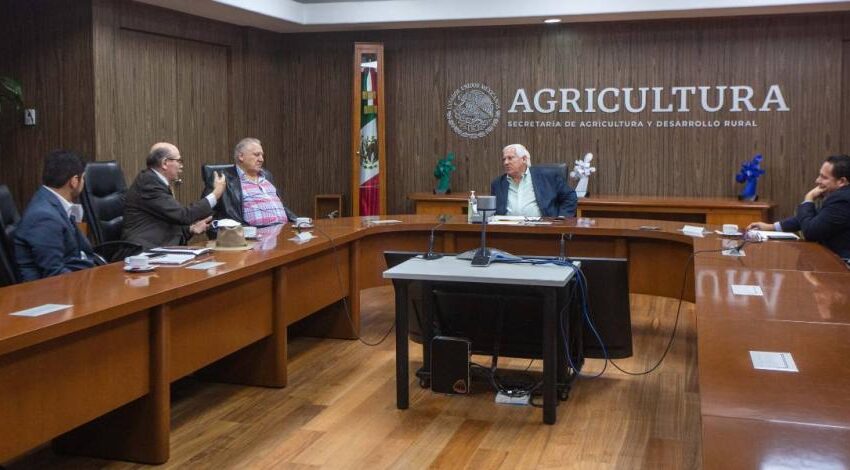  Impulsa Gobierno de México proyectos agropecuarios que contribuyen al desarrollo productivo y social en el Istmo de Tehuantepec y el sureste